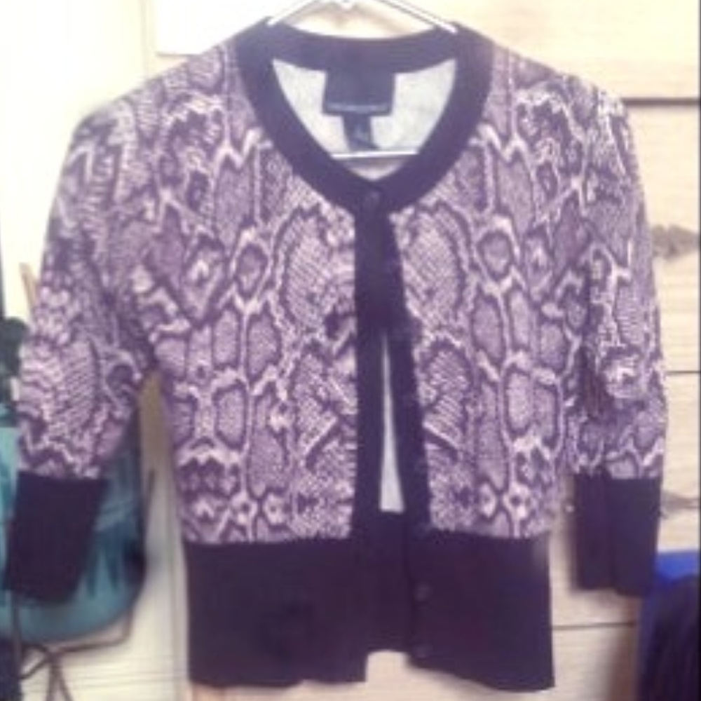 𝒫𝓊𝓇𝓅𝓁𝑒 𝒮𝓃𝒶𝓀𝑒𝓈𝓀𝒾𝓃 𝐵𝓊𝓉𝓉𝑜𝓃 𝒰𝓅